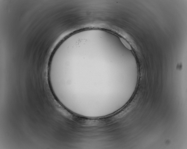 X0000101411232200808041056