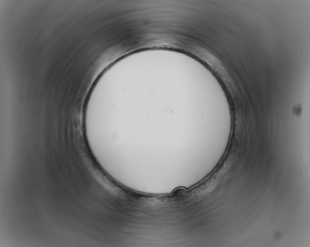 X0000101411234200808041056