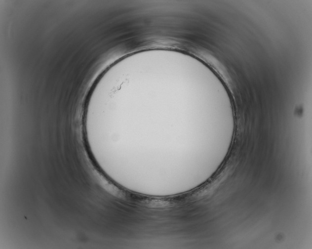 X0000101411235200808041057