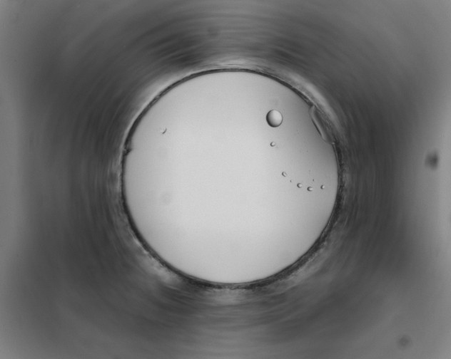 X0000101411236200808041057
