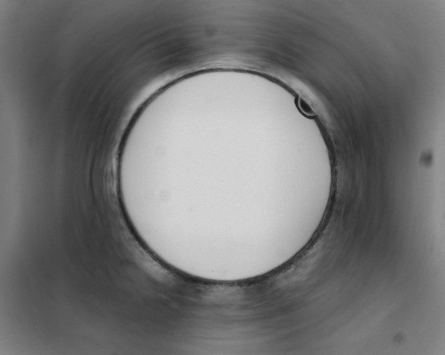 X0000101411238200808041057