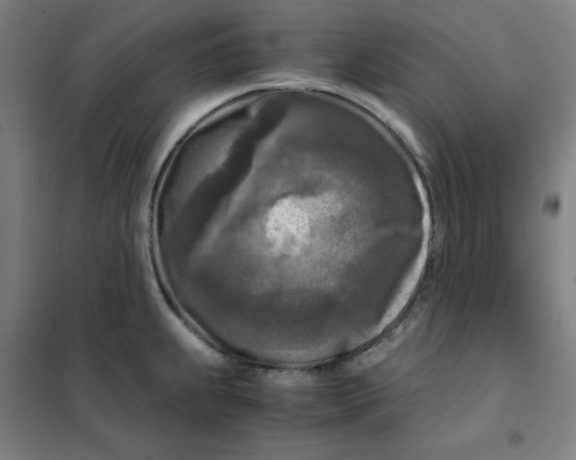 X0000101411239200808041057