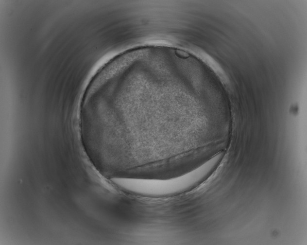 X0000101411240200808041057
