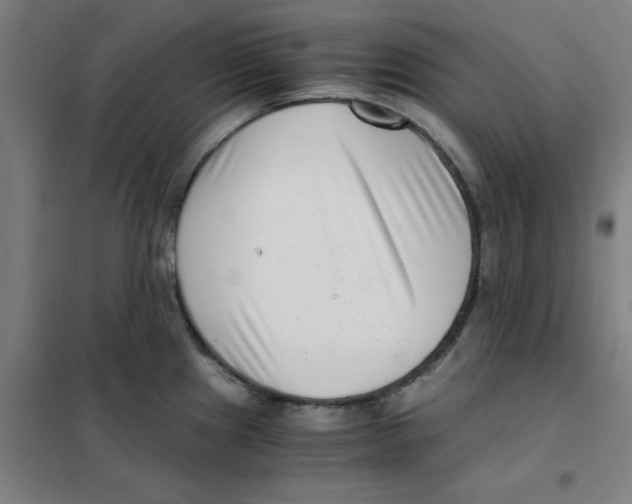 X0000101411241200808041057