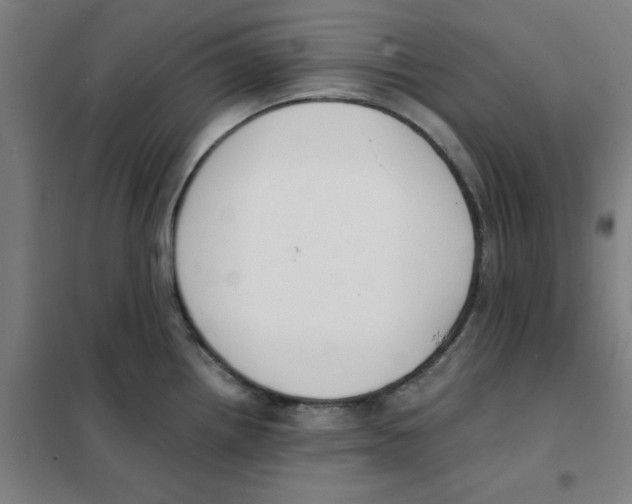 X0000101411242200808041057