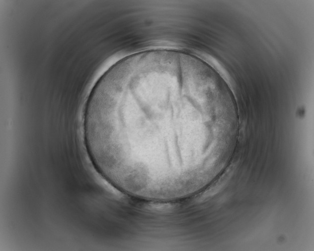 X0000101411243200808041057