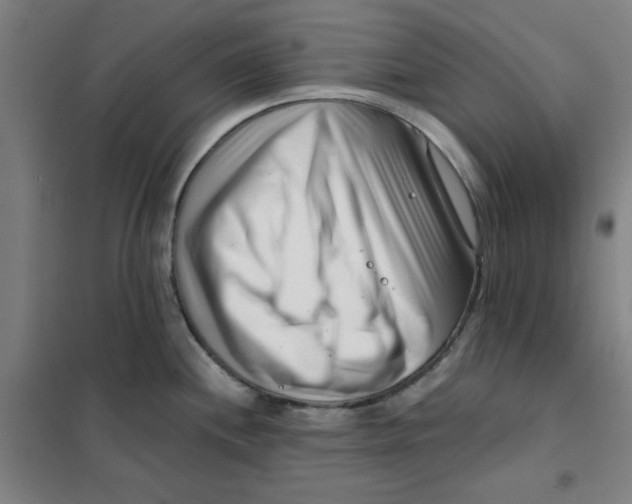 X0000101411244200808041057