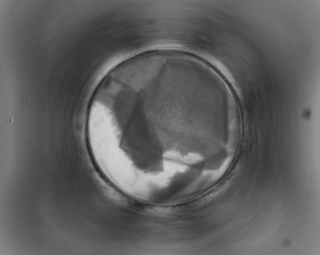 X0000101411245200808041057