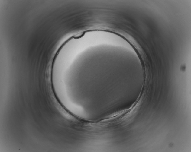 X0000101411246200808041057