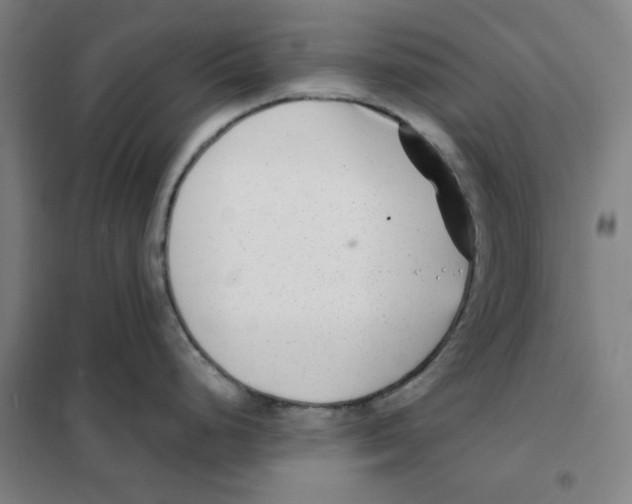 X0000101411248200808041057