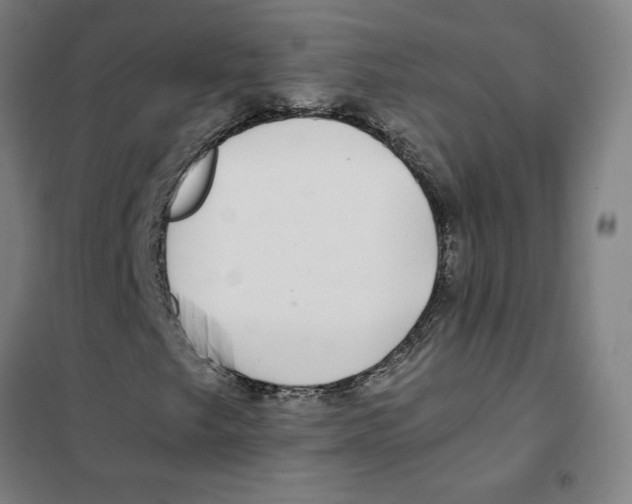 X0000101411249200808041056
