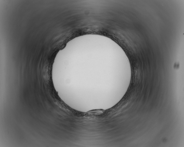 X0000101411250200808041056