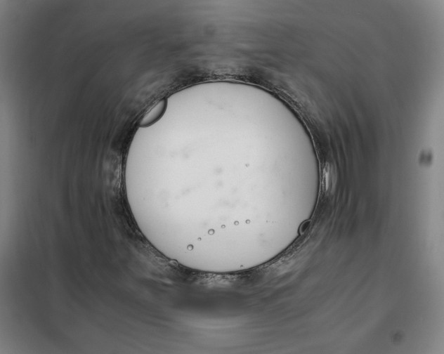 X0000101411251200808041056
