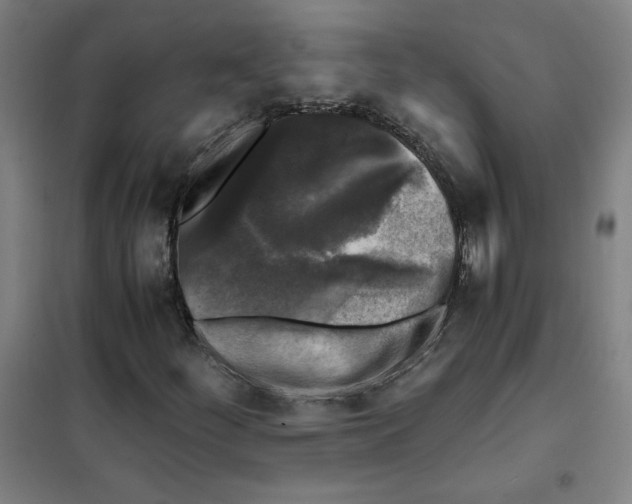X0000101411252200808041056