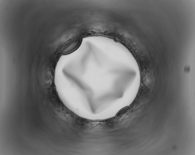 X0000101411253200808041056