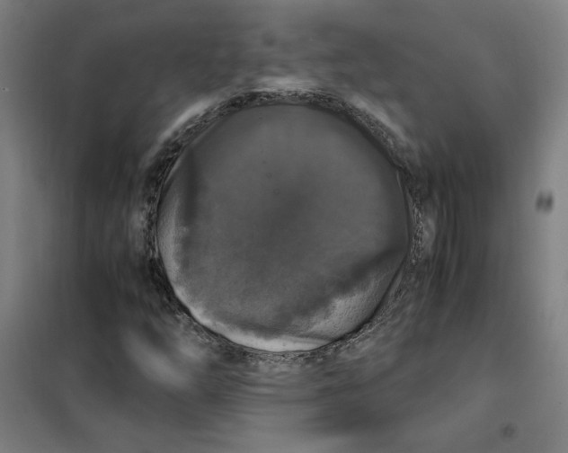 X0000101411254200808041056