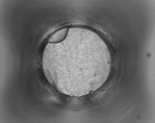 X0000101411255200808041056