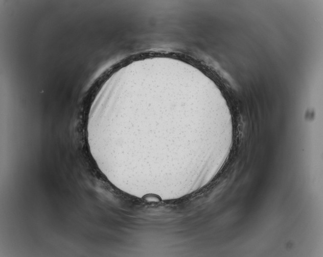 X0000101411256200808041056