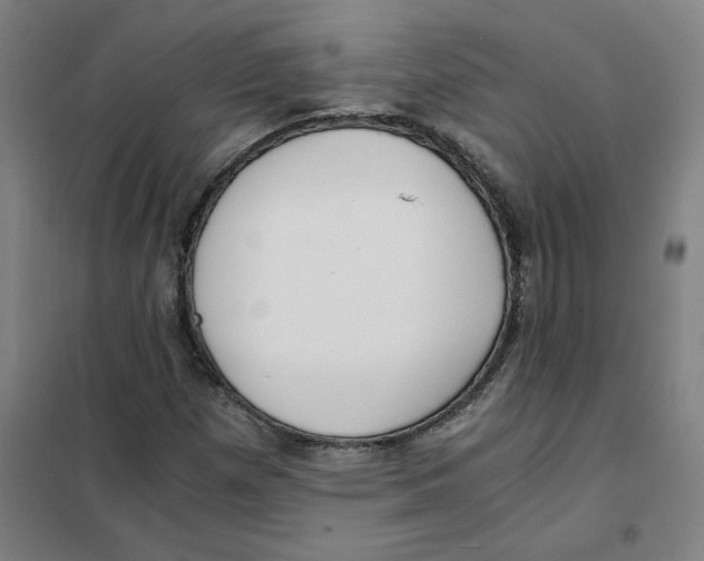 X0000101411257200808041056