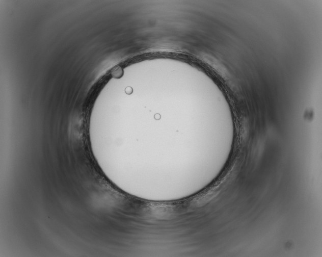 X0000101411258200808041056