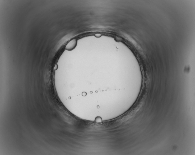X0000101411259200808041056