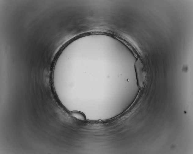 X0000101411260200808041056