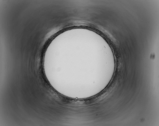 X0000101411261200808041056