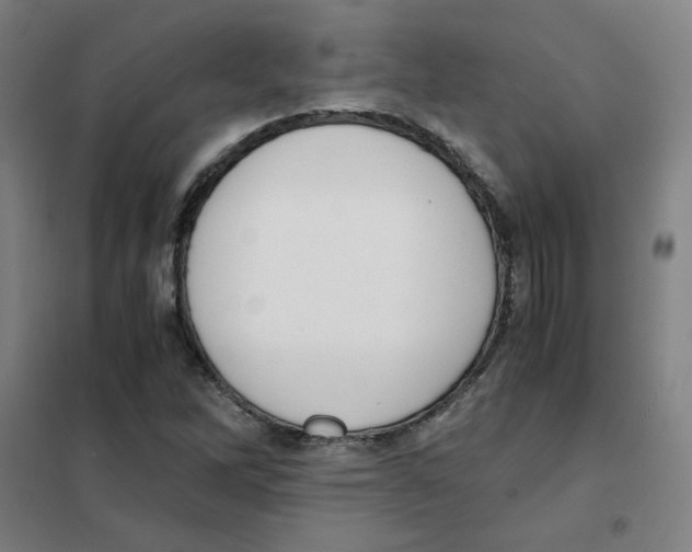 X0000101411262200808041056