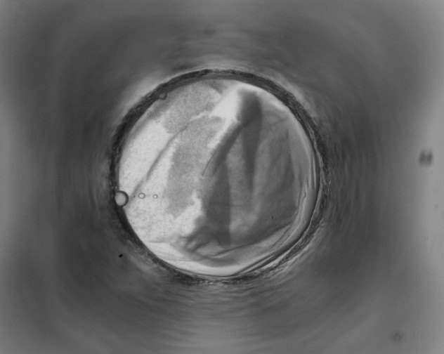 X0000101411263200808041056