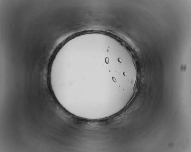 X0000101411264200808041056