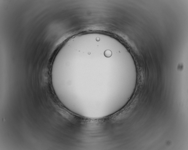 X0000101411266200808041056