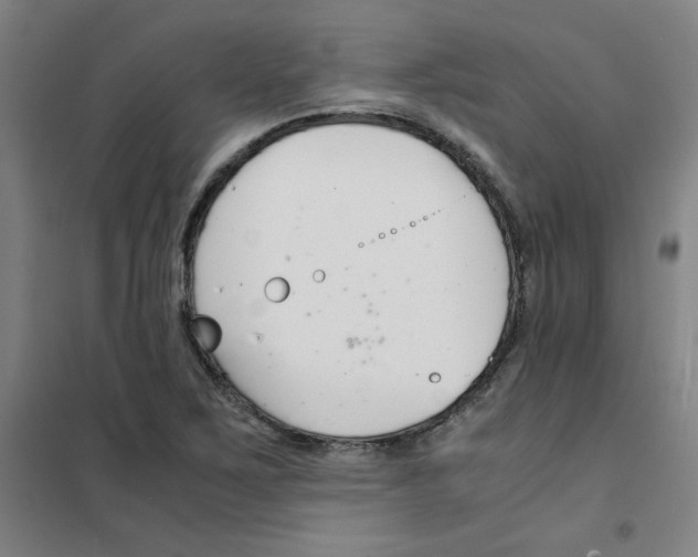 X0000101411267200808041056