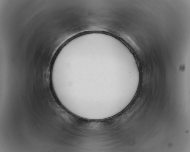 X0000101411268200808041056