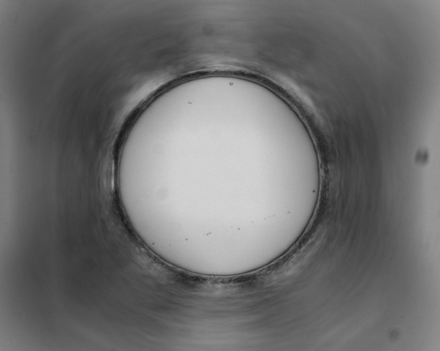X0000101411269200808041056