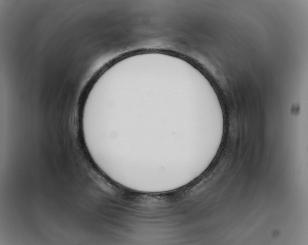X0000101411270200808041056