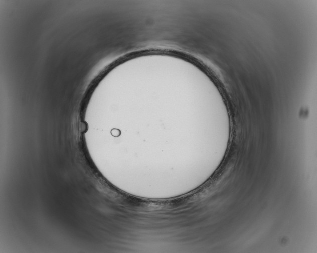 X0000101411271200808041056