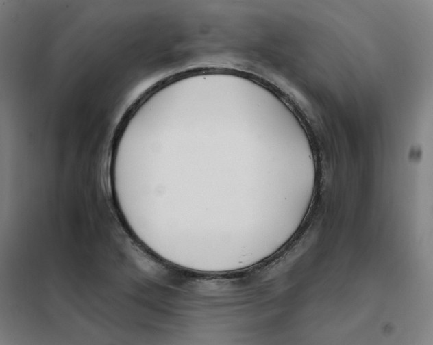 X0000101411272200808041056