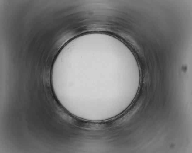 X0000101411273200808041056