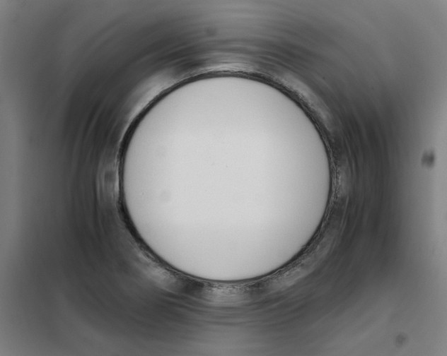 X0000101411274200808041056