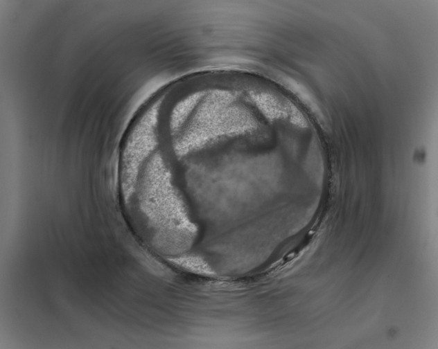 X0000101411275200808041055