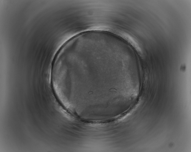 X0000101411276200808041055