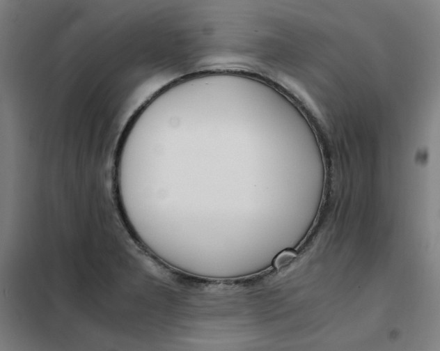 X0000101411277200808041055