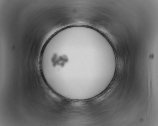 X0000101411278200808041055