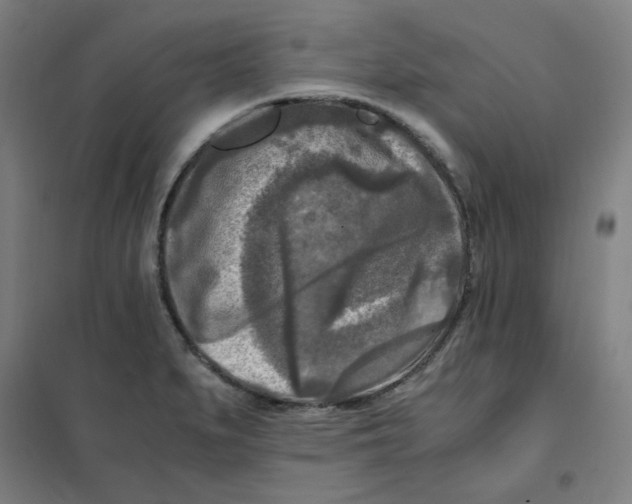 X0000101411279200808041055