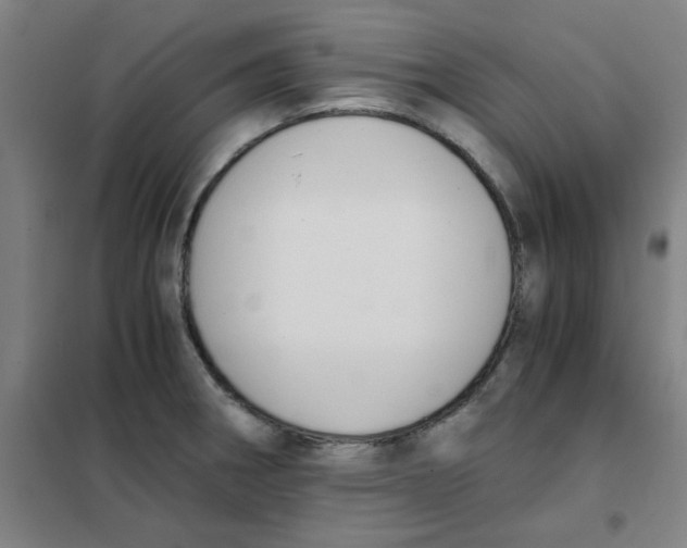 X0000101411282200808041055