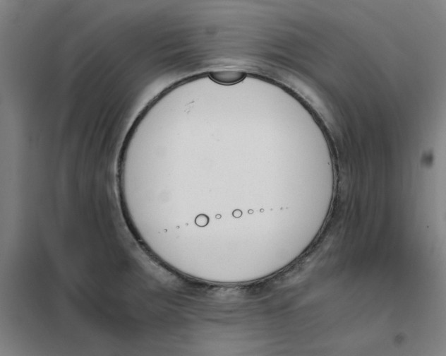 X0000101411283200808041055