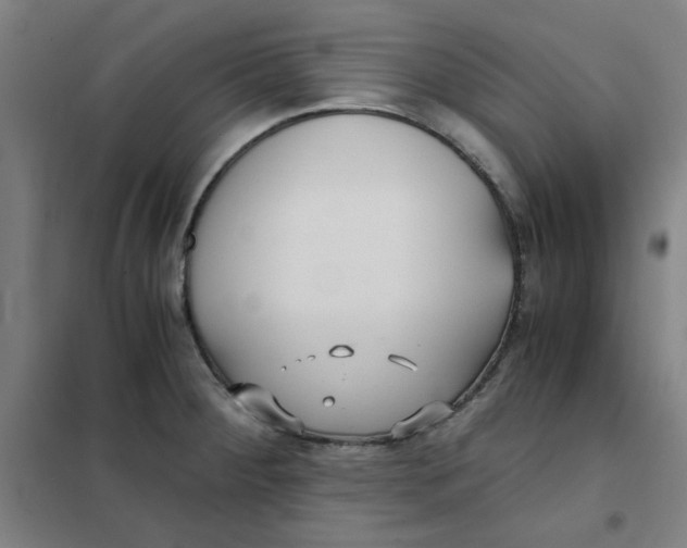 X0000101411284200808041055