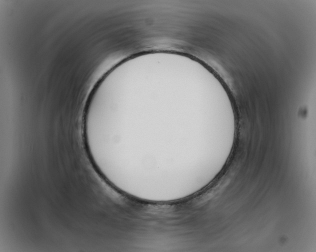 X0000101411285200808041055