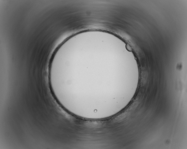 X0000101411286200808041055