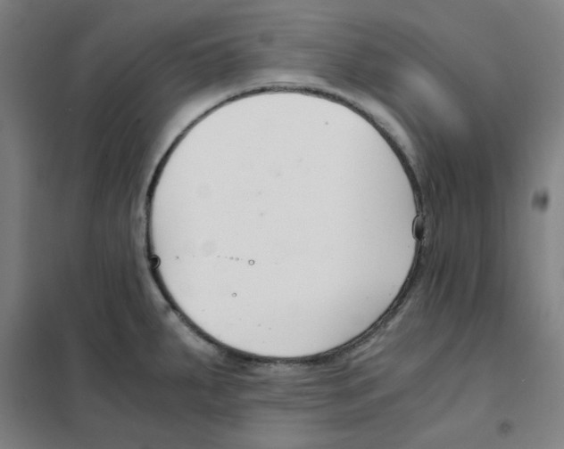 X0000101411287200808041055